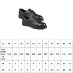 ECONOMY SAFETY SHOE-SIZE 43 - Image 2