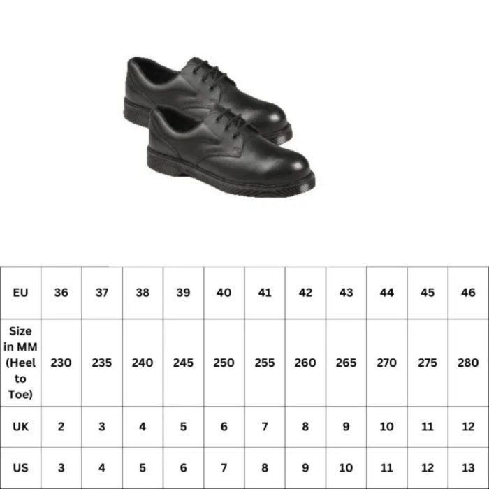 ECONOMY SAFETY SHOE-SIZE 43 - Image 2