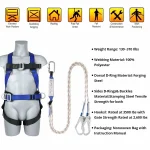 CE Certified Full Body Harness - Double Hook With Spring and Back Support - Blue - Image 2